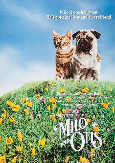 The Adventures of Milo and Otis (1986) แมวจ๋าหมาอยู่นี่