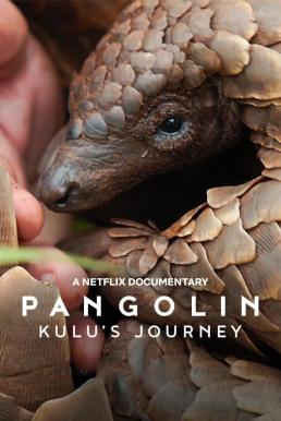 Pangolin: Kulu's Journey การเดินทางของคูลู (2025) NETFLIX บรรยายไทย